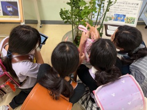 「アゲハチョウの観察コーナー」